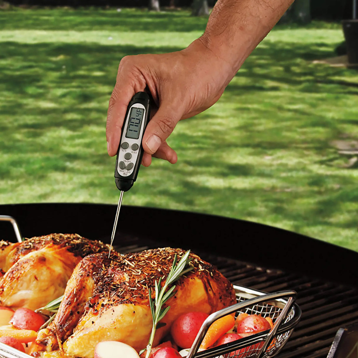 Maverick Fast Read Digital Probe Thermometer DT-09C - Texas Star Grill Shop DT-09C