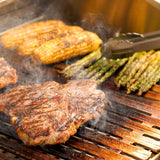 DCS Series 9 Evolution Built-in Gas Grill - Texas Star Grill Shop BE1-36RC-N