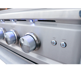 38 Cutlass Pro Built-In, Houston RCS Built-In Grill, Houston Renaissance Cooking Systems